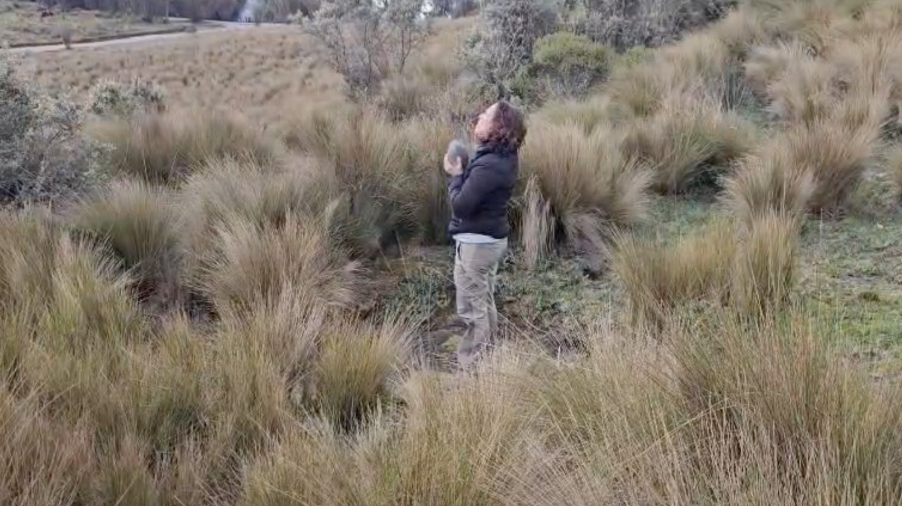 Activacion de la piedra útero en el volcán Pichincha